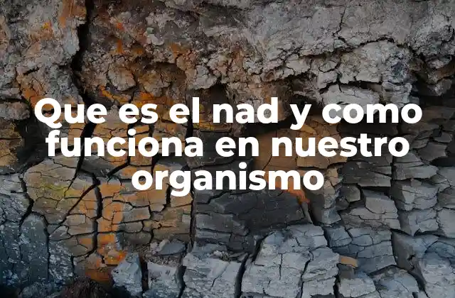 Que es el Nad y como Funciona en Nuestro Organismo