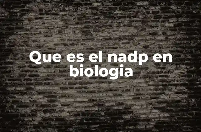 Que es el Nadp en Biologia 2 El NADP y su relevancia en la producción de energía celular