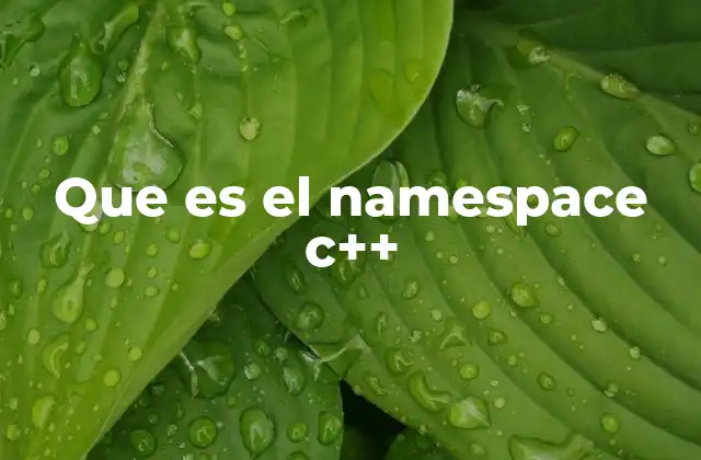 Que es el Namespace C++