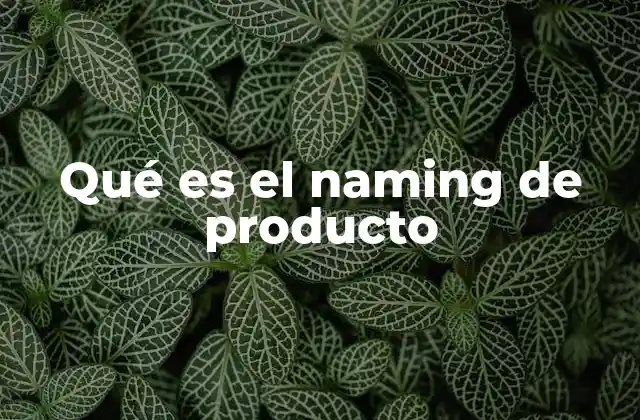 Qué es el Naming de Producto
