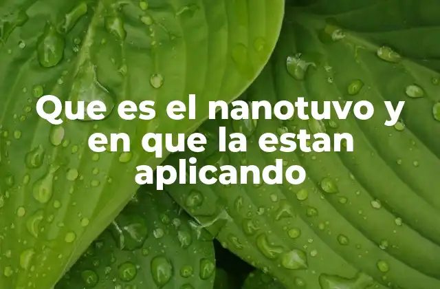 Que es el Nanotuvo y en que la Estan Aplicando