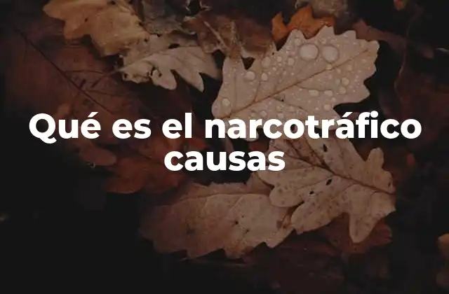 Qué es el Narcotráfico Causas