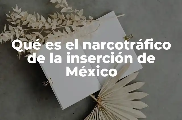 Qué es el Narcotráfico de la Inserción de México