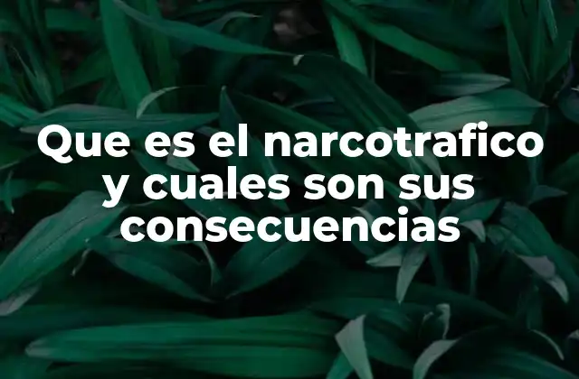 Que es el Narcotrafico y Cuales Son Sus Consecuencias
