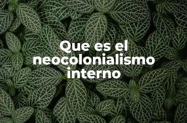 Dinámicas de poder en el neocolonialismo interno