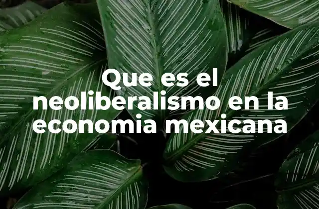 Que es el Neoliberalismo en la Economia Mexicana