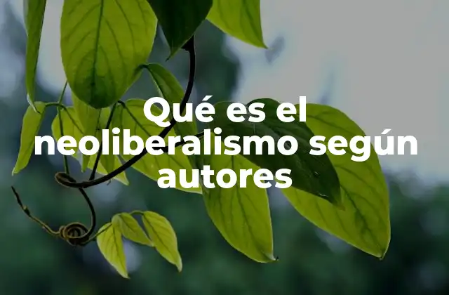 Qué es el Neoliberalismo según Autores
