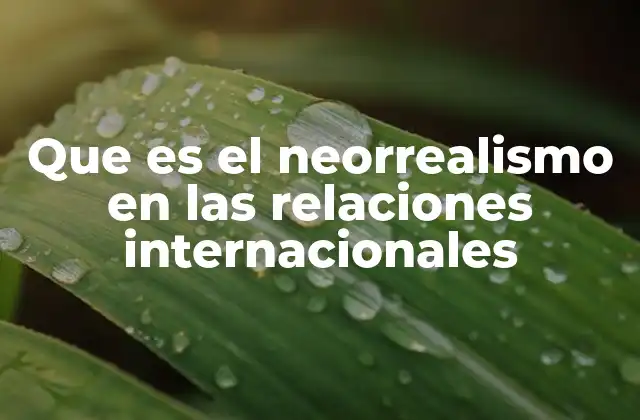 Que es el Neorrealismo en las Relaciones Internacionales
