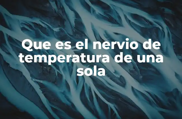 Que es el Nervio de Temperatura de una Sola