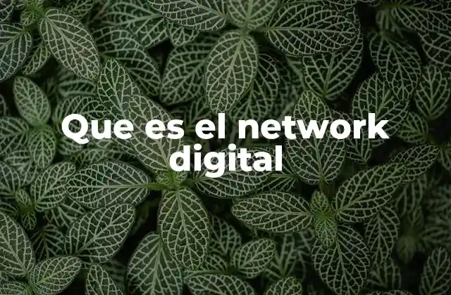 Que es el Network Digital