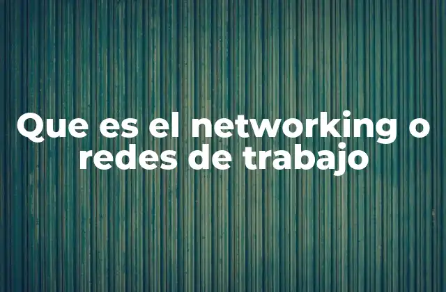 Que es el Networking o Redes de Trabajo