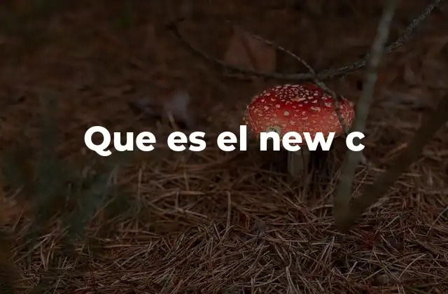 Que es el New C