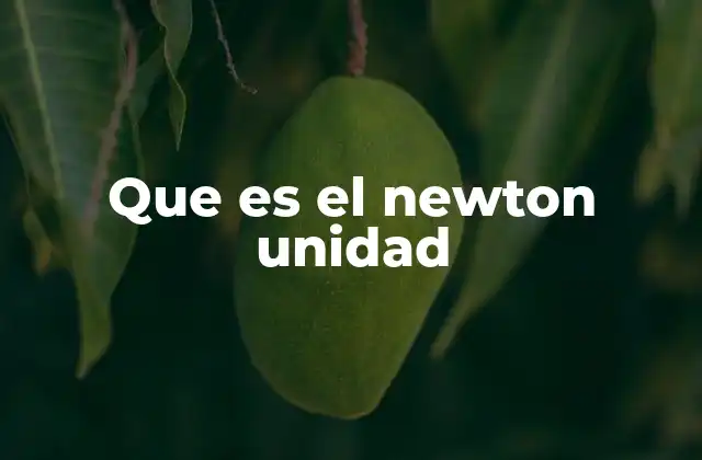 Que es el Newton Unidad