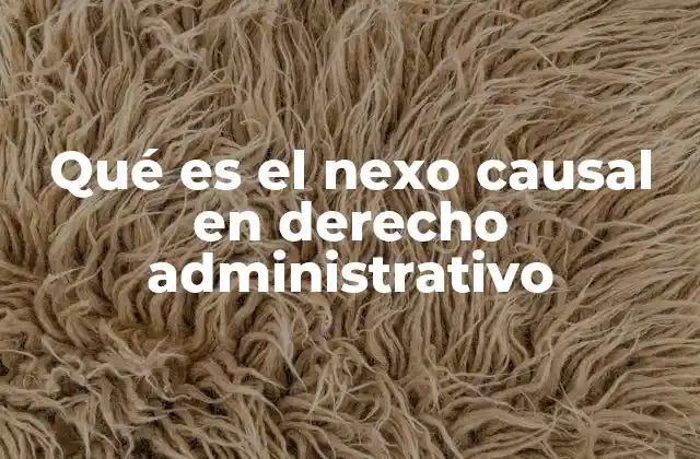 Qué es el Nexo Causal en Derecho Administrativo