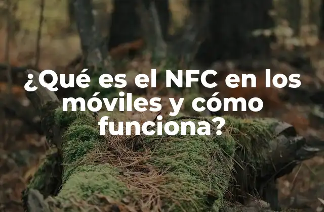 ¿qué es el Nfc en los Móviles y Cómo Funciona?