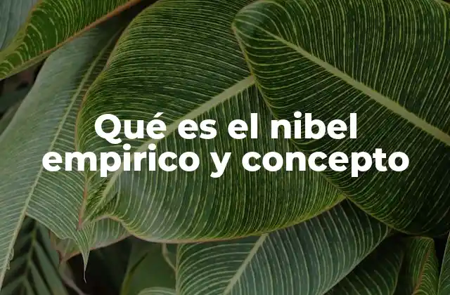 Qué es el Nibel Empirico y Concepto
