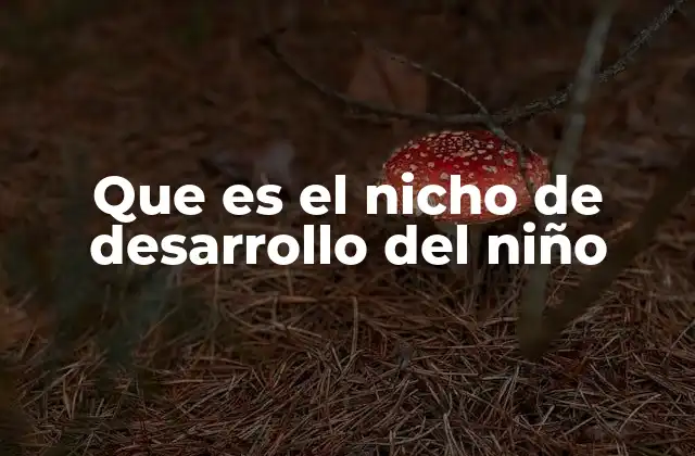 Que es el Nicho de Desarrollo Del Niño