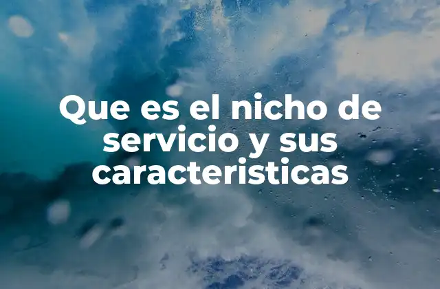 Que es el Nicho de Servicio y Sus Caracteristicas