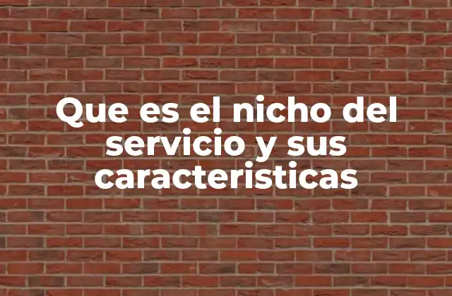 Que es el Nicho Del Servicio y Sus Caracteristicas