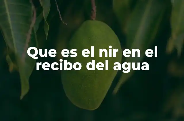 Que es el Nir en el Recibo Del Agua