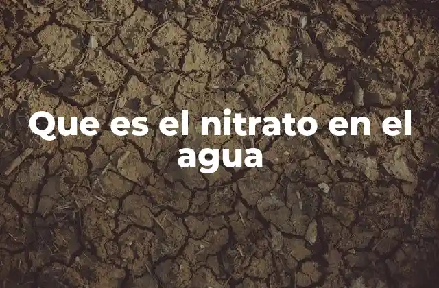 Que es el Nitrato en el Agua