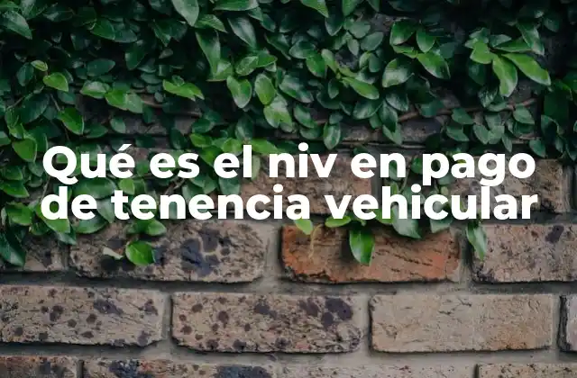 Qué es el Niv en Pago de Tenencia Vehicular