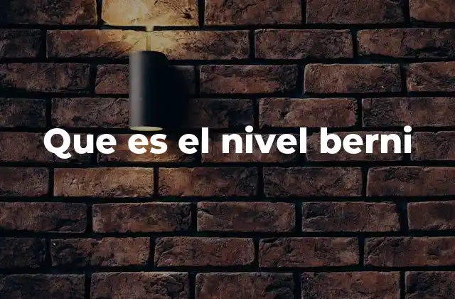 Que es el Nivel Berni