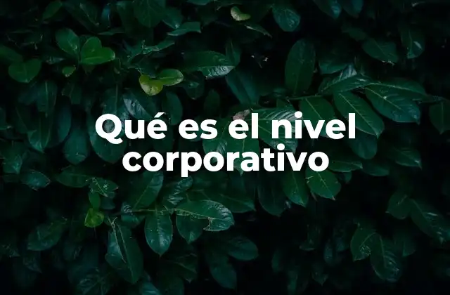 Qué es el Nivel Corporativo