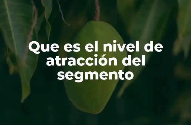 Que es el Nivel de Atracción Del Segmento