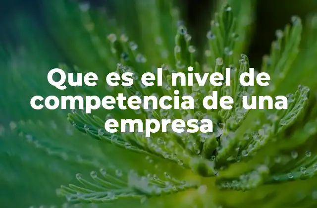 Que es el Nivel de Competencia de una Empresa