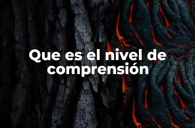 Que es el Nivel de Comprensión