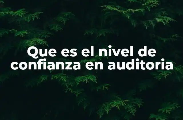 Que es el Nivel de Confianza en Auditoria
