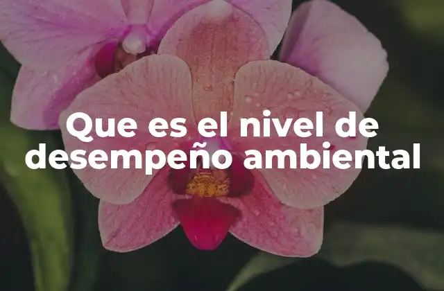 Que es el Nivel de Desempeño Ambiental