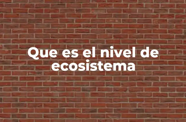 Que es el Nivel de Ecosistema