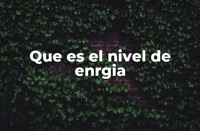 Que es el Nivel de Enrgia