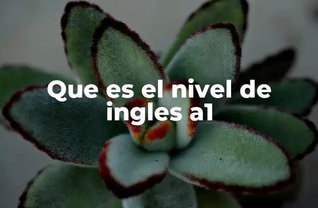 Que es el Nivel de Ingles A1