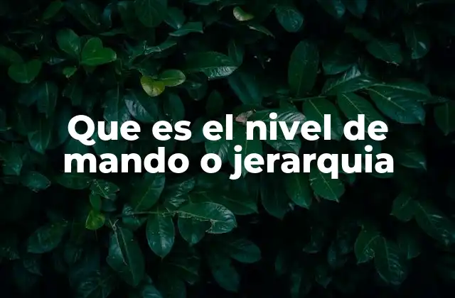 Que es el Nivel de Mando o Jerarquia