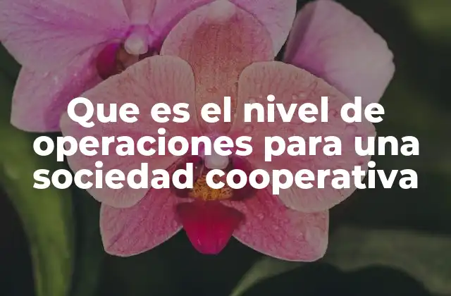 La importancia del nivel operativo en el desarrollo de las cooperativas