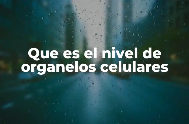 Que es el Nivel de Organelos Celulares