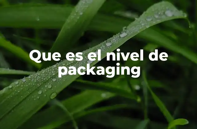 Que es el Nivel de Packaging