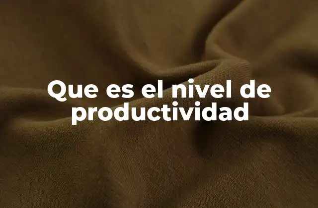 Que es el Nivel de Productividad