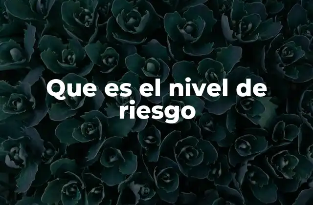 Que es el Nivel de Riesgo