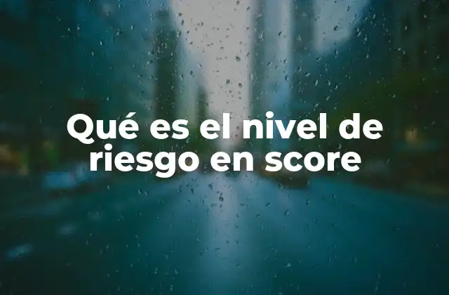 Qué es el Nivel de Riesgo en Score