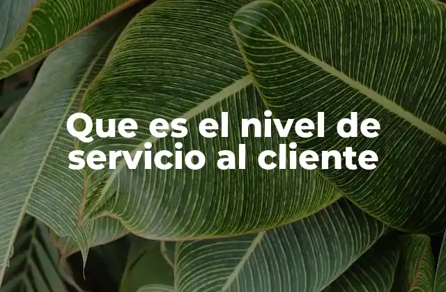 Que es el Nivel de Servicio Al Cliente