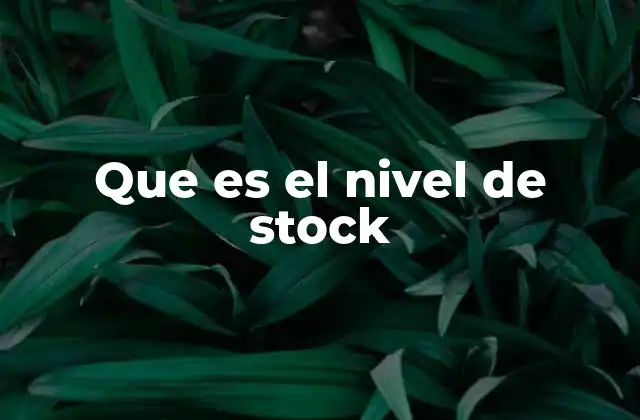 Que es el Nivel de Stock