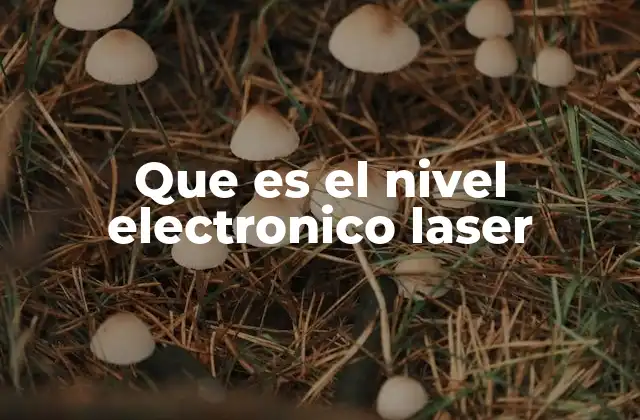 Que es el Nivel Electronico Laser 2 Funcionamiento del nivel electrónico láser