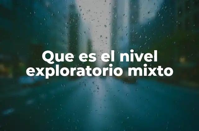 Que es el Nivel Exploratorio Mixto