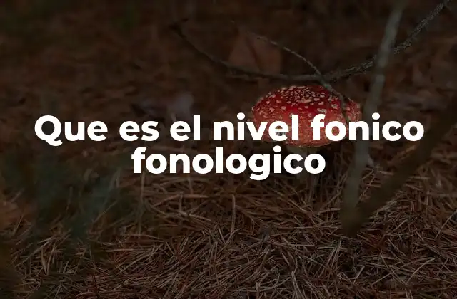 Que es el Nivel Fonico Fonologico