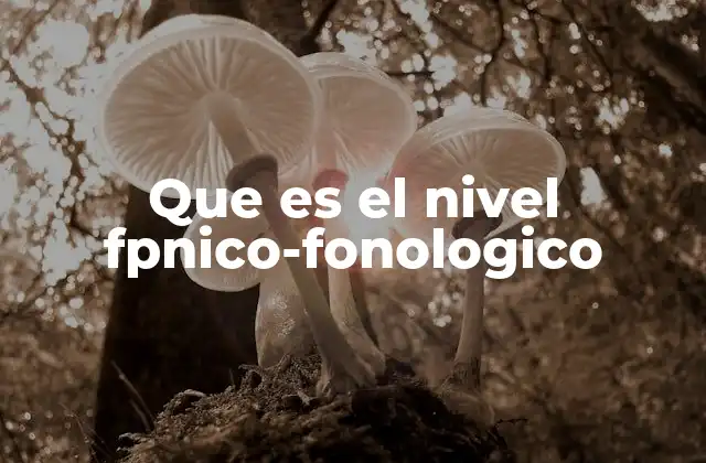 La importancia del nivel fonológico en la comunicación