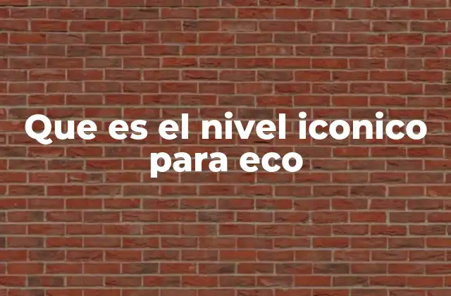 Que es el Nivel Iconico para Eco
